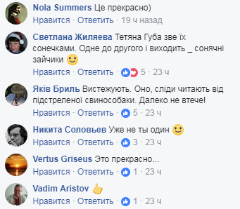"Я кричу, як слон": мережу підкорив плакат для ЗСУ